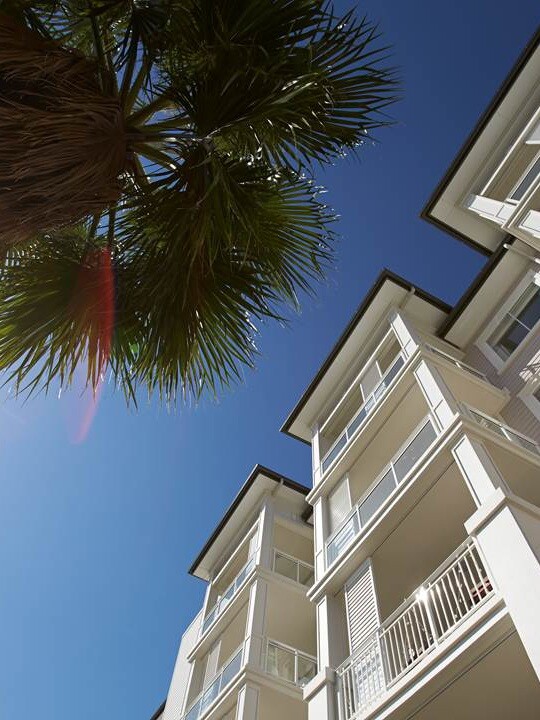 Endeavour+with+Palm-1 Endeavour+with+Palm-1